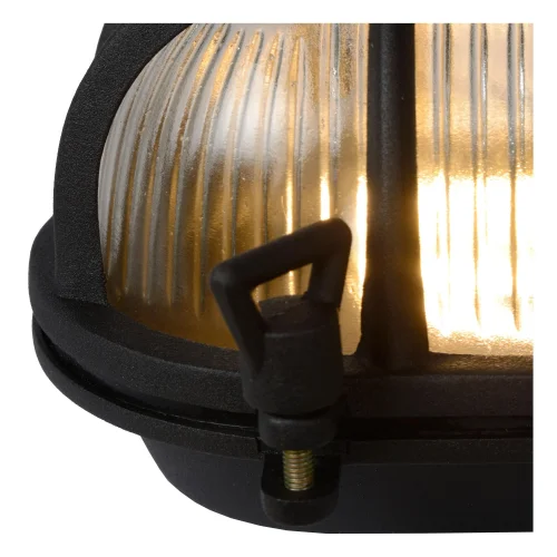 Настенный светильник Dudley 11891/20/30 Lucide уличный IP65 чёрный 1 лампа, плафон белый в стиле винтаж современный E27 фото 4